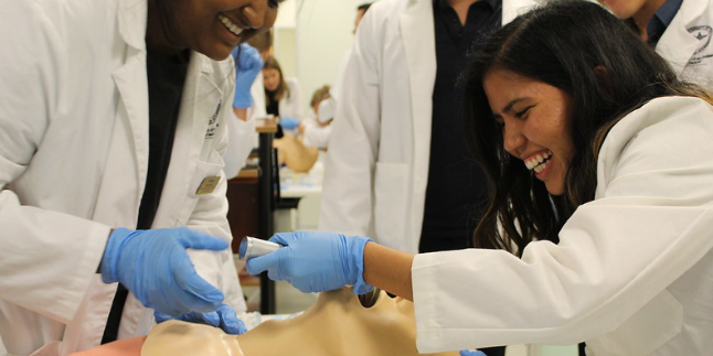Students during a clinical workshop