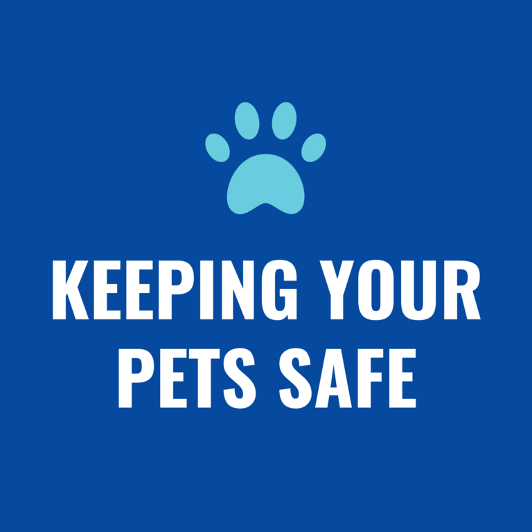 Graphic text of "Keeping your Pets Safe"