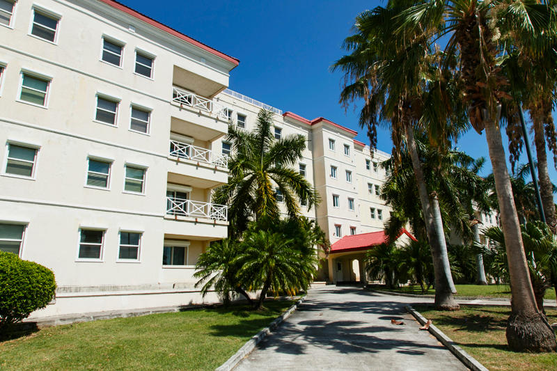 Outside view of an AUC building and palm trees