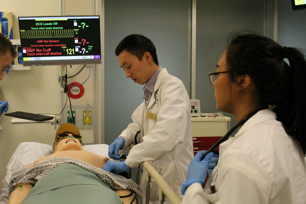 Students working in simulation lab