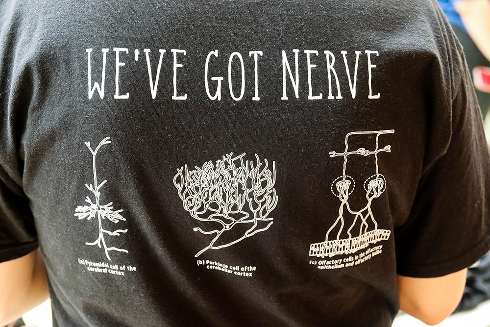 Back view of a tee shirt that says "We've Got Nerve"